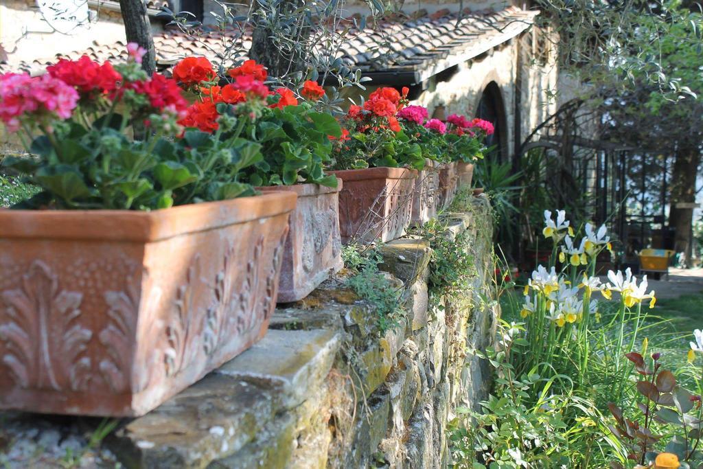 Casa Mezzuola Agriturismo Vila Greve in Chianti Exterior foto