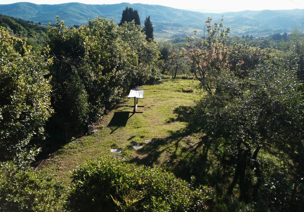 Casa Mezzuola Agriturismo Vila Greve in Chianti Exterior foto